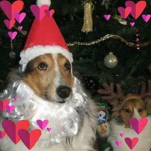 Meet your Posher, Annette